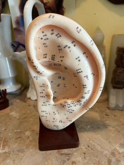 Ear display for acupuncture practice