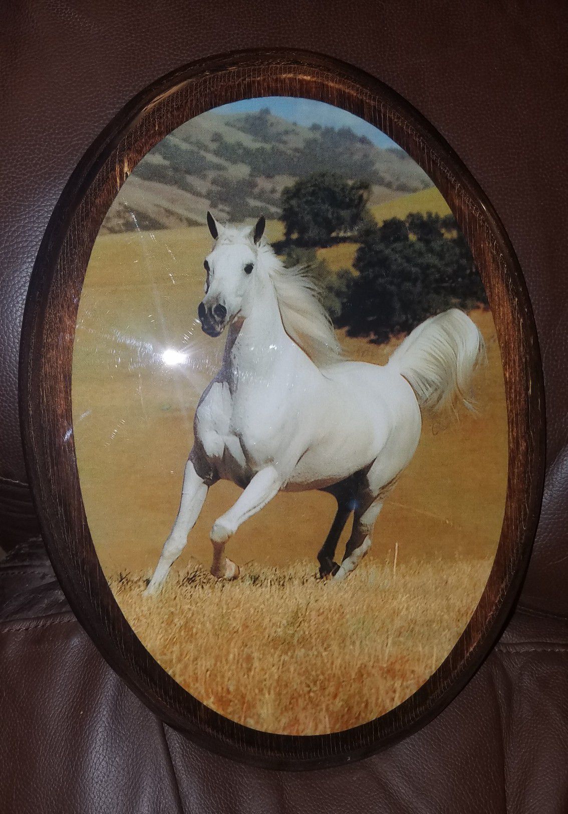 White Horse wooden plaque