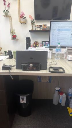 Personal audio docking Sony