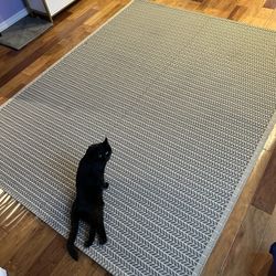 IKEA LOBBÄK Flatwoven Indoor/Outdoor Rug (6’7″ x 8’2″)