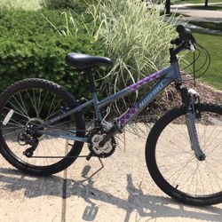Nishiki Pueblo Bike