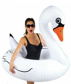 Pool Floaties