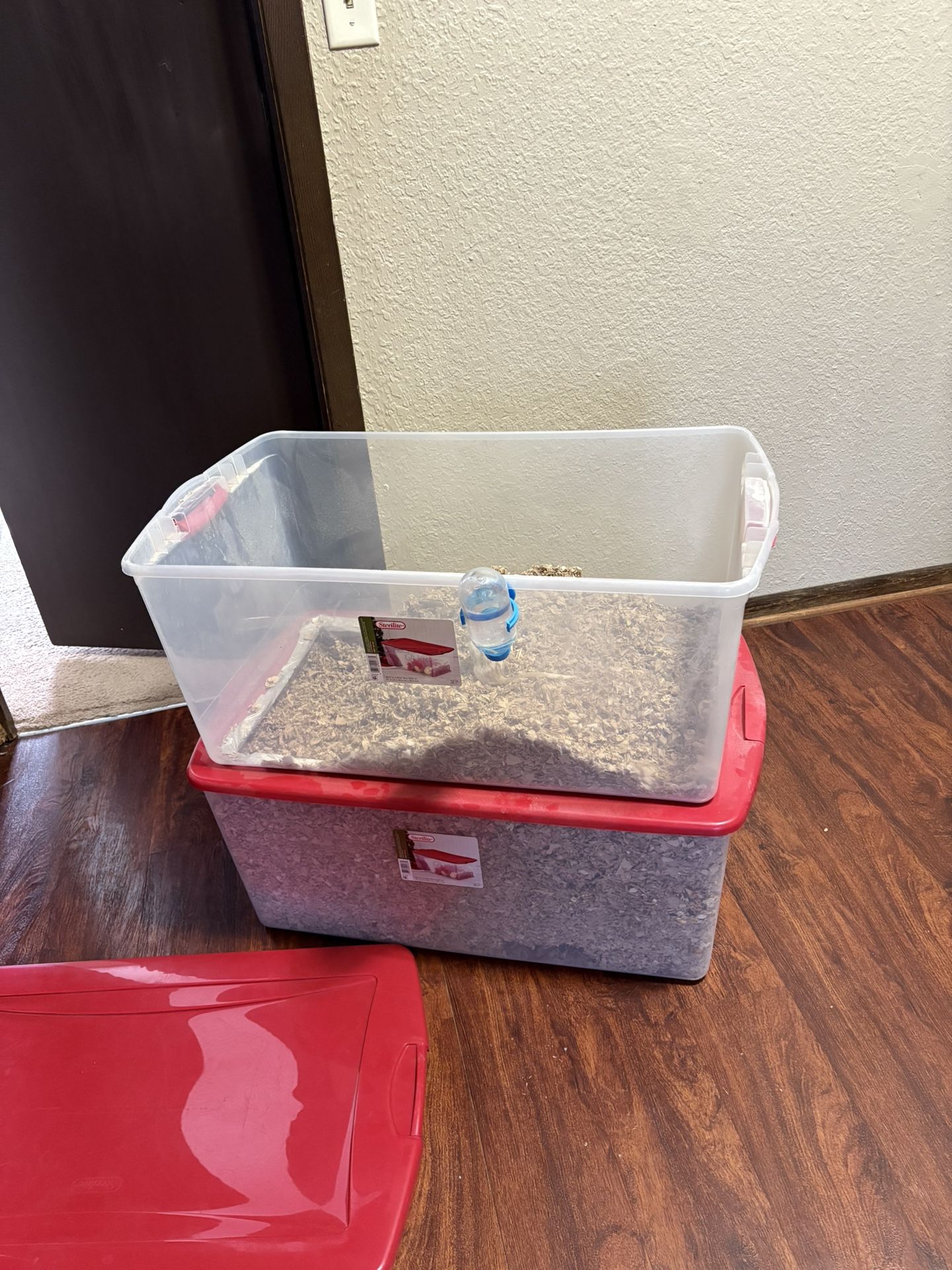 Gerbils