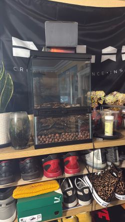 glass tank for pets and plants 