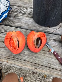 Key West mamey for sale in BULK