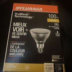 Blanc 100W Outdoor Light Sylvania Brand 