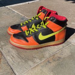 Nike Dunk High “Wild Color” 2007 Size 11.5