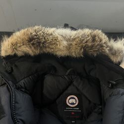 Canada Goose Lady