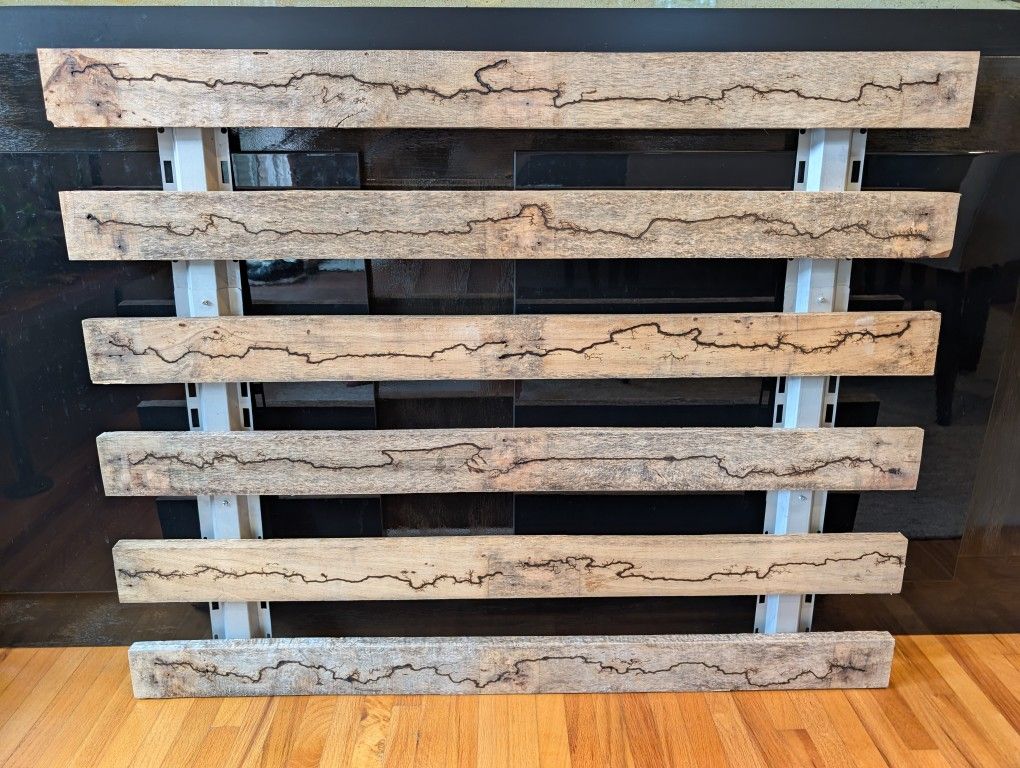 Lichtenberg Burns Fractal High Voltage 15KV Wood Art - Large
Fractal Wood burning (Lichtenberg figures) using 15,000 volt arcs to create beautiful pa