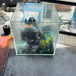 Fish Tank