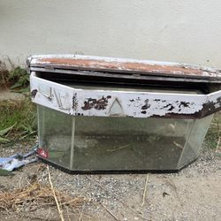 Reptile/ Tank
