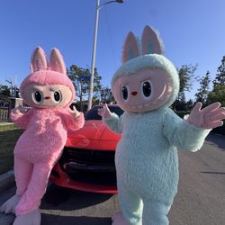 Gender Reveal 