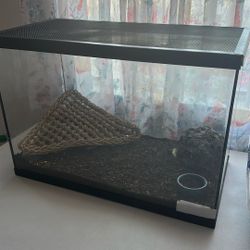 Thank For Leopard Gecko 