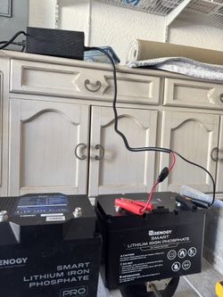 3 Units - High End Lithium Iron Phosphate Batteries - 3 With Battery Charger