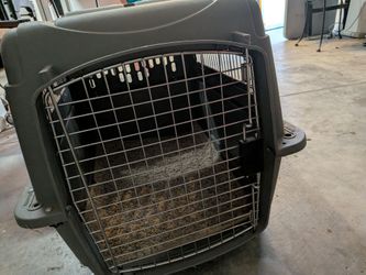 Animal crate