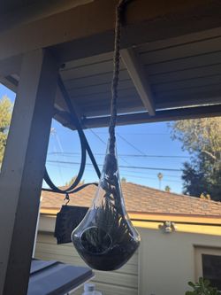 Hanging Glass With Plants 
