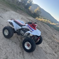 1987 Honda Fourtrax TRX250X 