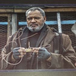🔥Laurence Fishburne autographed 11x14 Beckett COA🔥