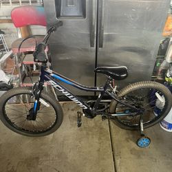 Schwinn Falcon Smartstart 20” Bike