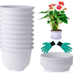 10 Set White Plastic Flower Plant Pots 6" Round Planters with Saucers for Plants