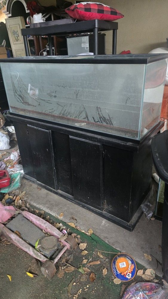 Fish Tank With Stand