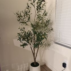 fake olive plant