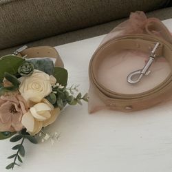 Beige Collar W/ Bling On Chrome Buckle And Matching Leash