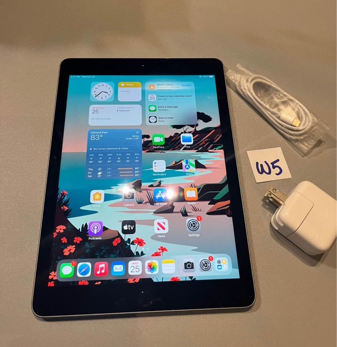 Apple iPad 5th Gen 32GB WiFi 9.7” iPad—Space Gray complete with usb and Apple Charger