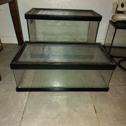 Reptile Tank