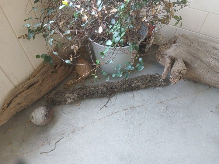 Natural Driftwood Piece For Aquarium