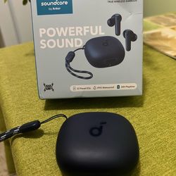 Soundcore earbuds P 20i