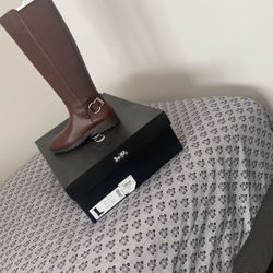 Botas Café Coach
