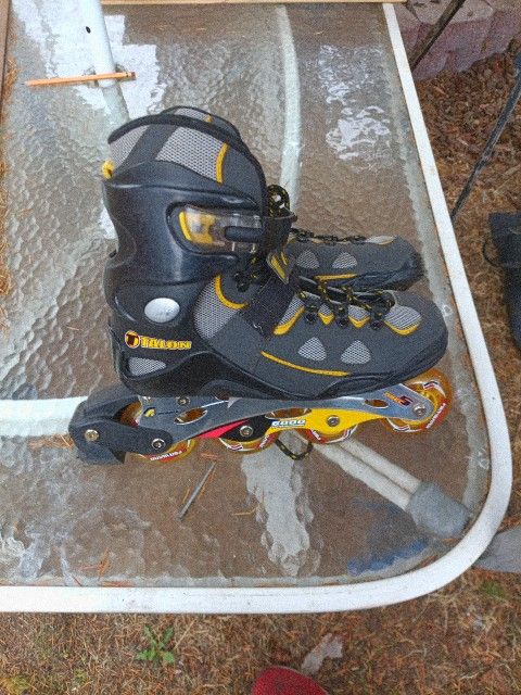 Talon 6000 Rollerblades