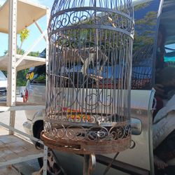 Brid Cage 