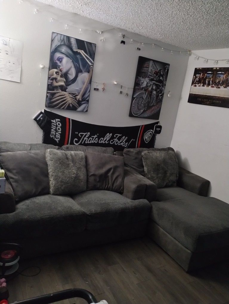Couches/Sofa/Sectional Couches