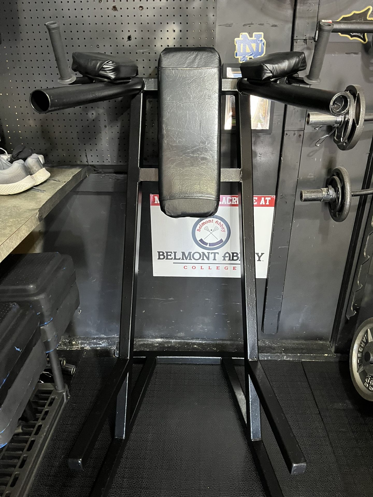 Heavy Duty Dip Station