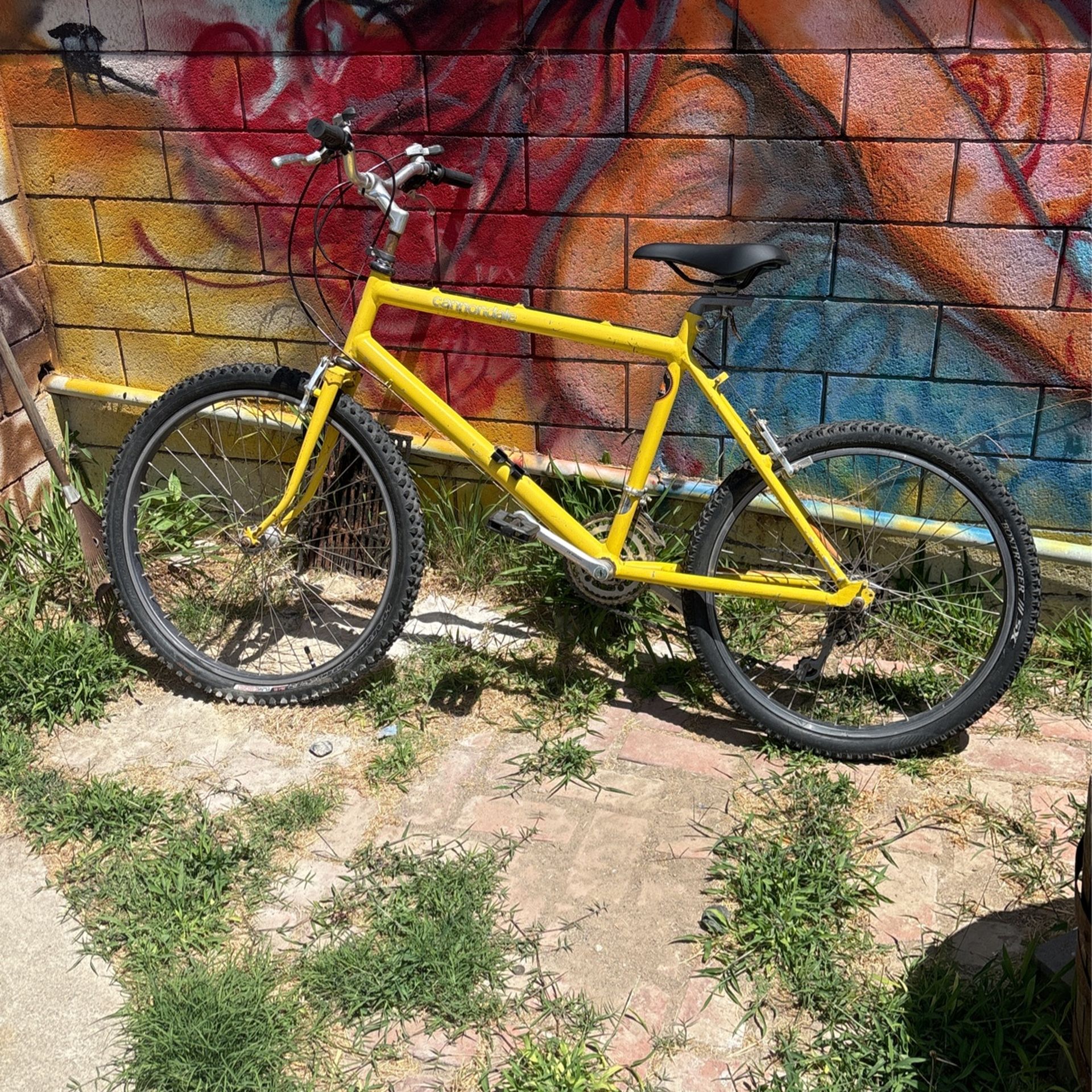 Cannondale 1984 