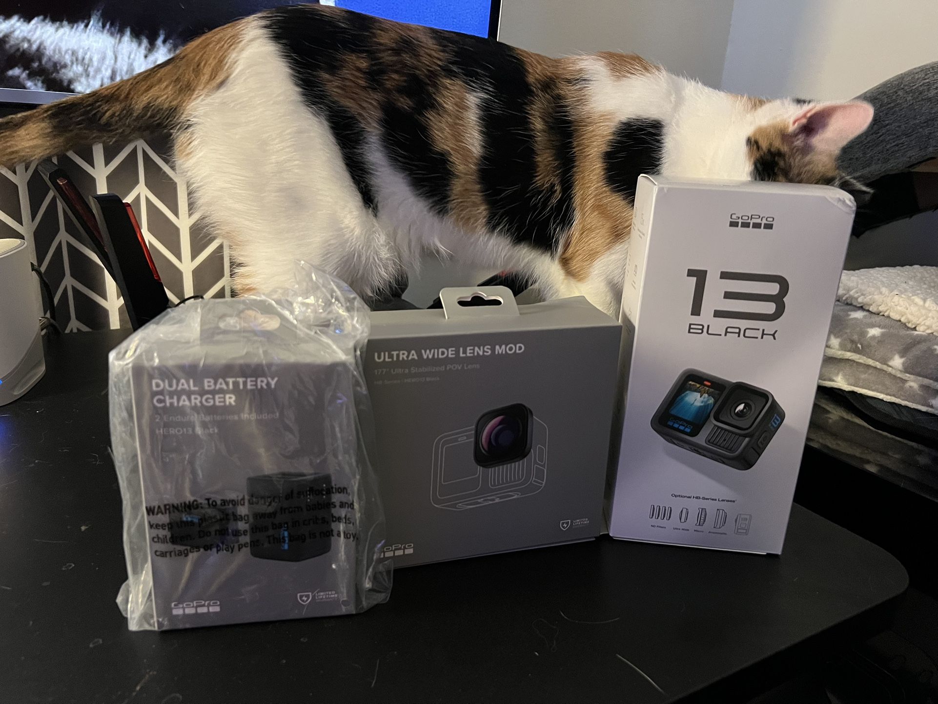 GoPro Hero 13