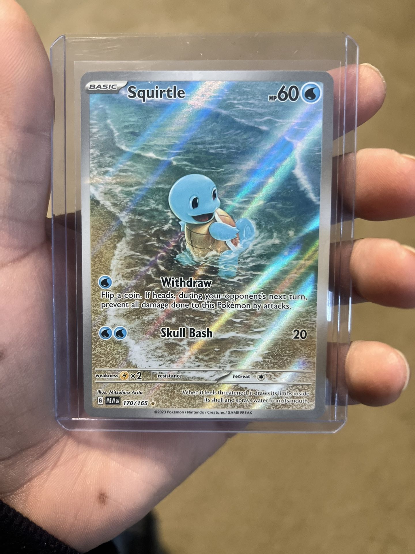 Squirtle And Wartortle 