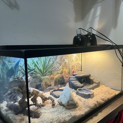 40 Gallon Terrarium/Reptile Enclosure