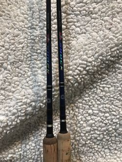 2 Daiwa spinning rods