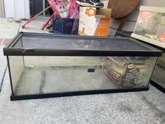 Reptile Terrarium