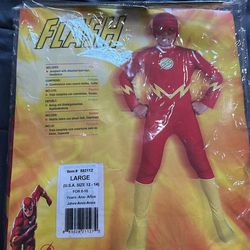 Flash Costume 
