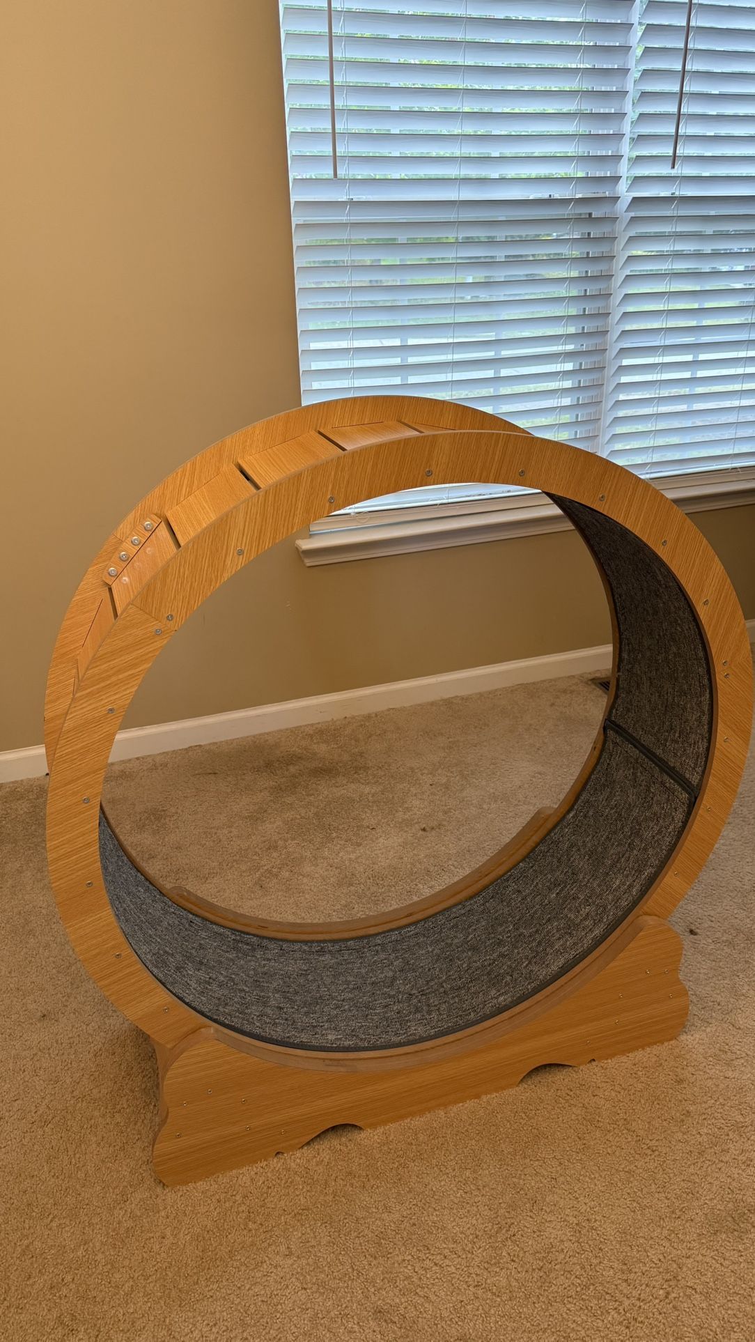 Cat Wheel 43” Large