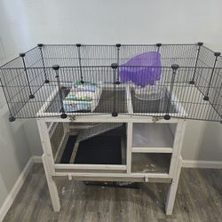 Guinea Pig Cage And Playpen
