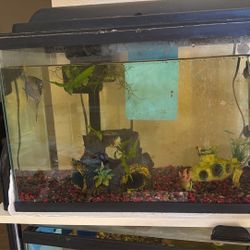 Fish Tanks For Sale
