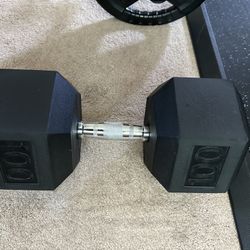 100lb Hex Dumbbell
