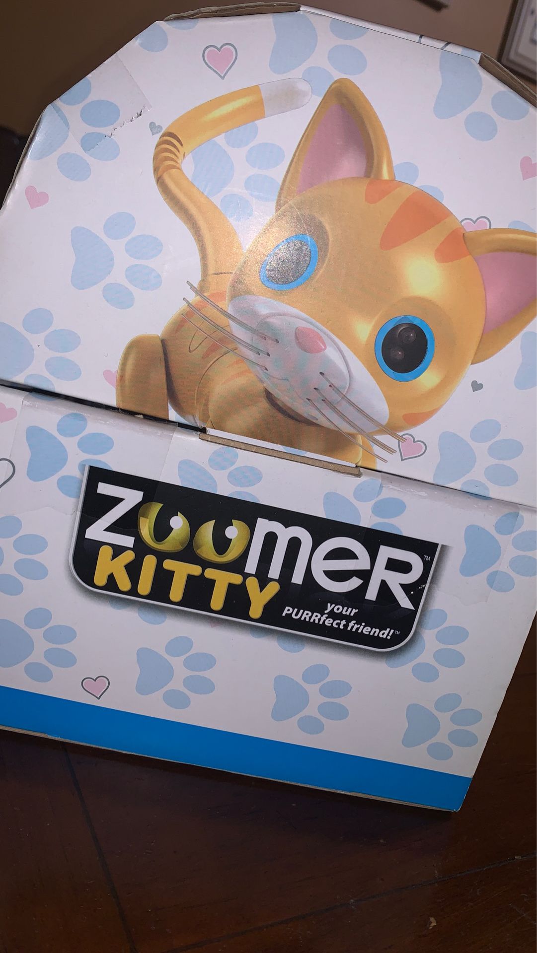 Zoomer Kitty