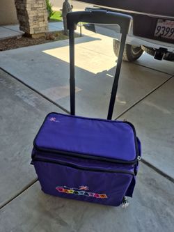 Dragonfly organizer tote