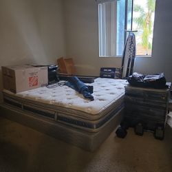 Roommate Needed